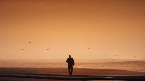 man walking on a beach on his own with seagulls in the background